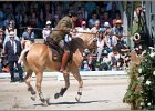 Pferd International 137